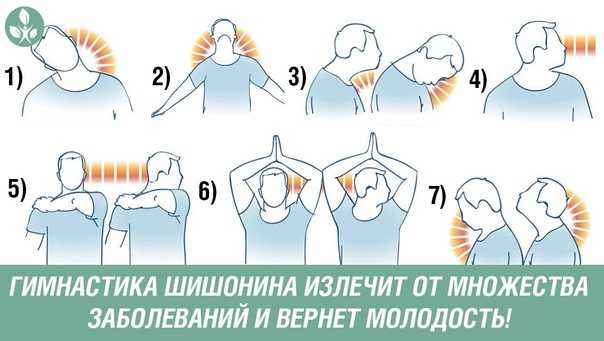 Гимнастика шишонина при гипертонии: для шеи без музыки, лечение, секреты доктора и полный курс упражнений - медицина