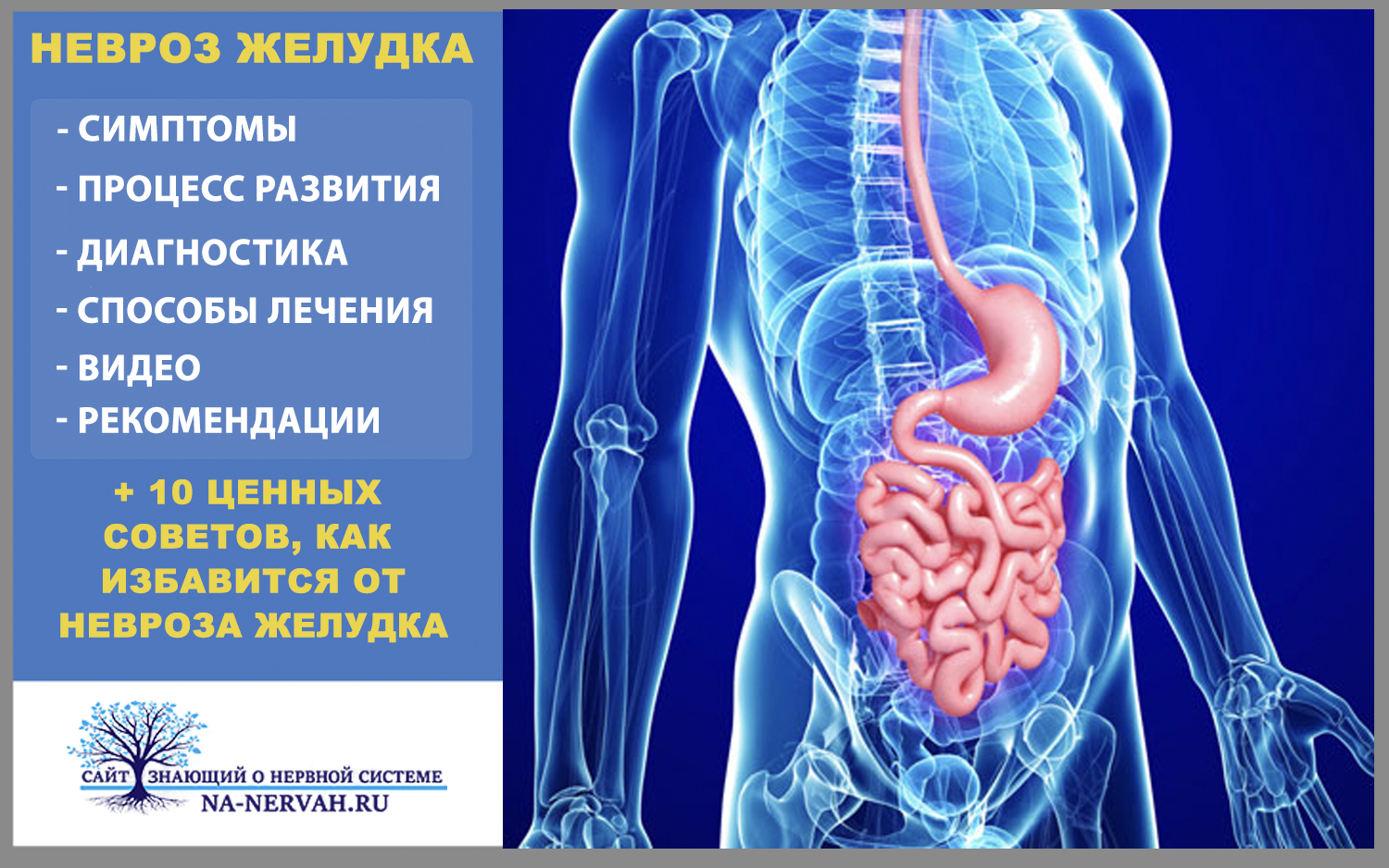 Какая связь между тревогой и тошнотой?