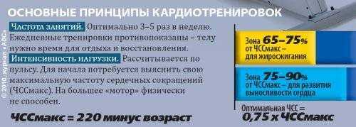 Пульс для сжигания жира: нормативные показатели, порядок расчета, советы тренеров