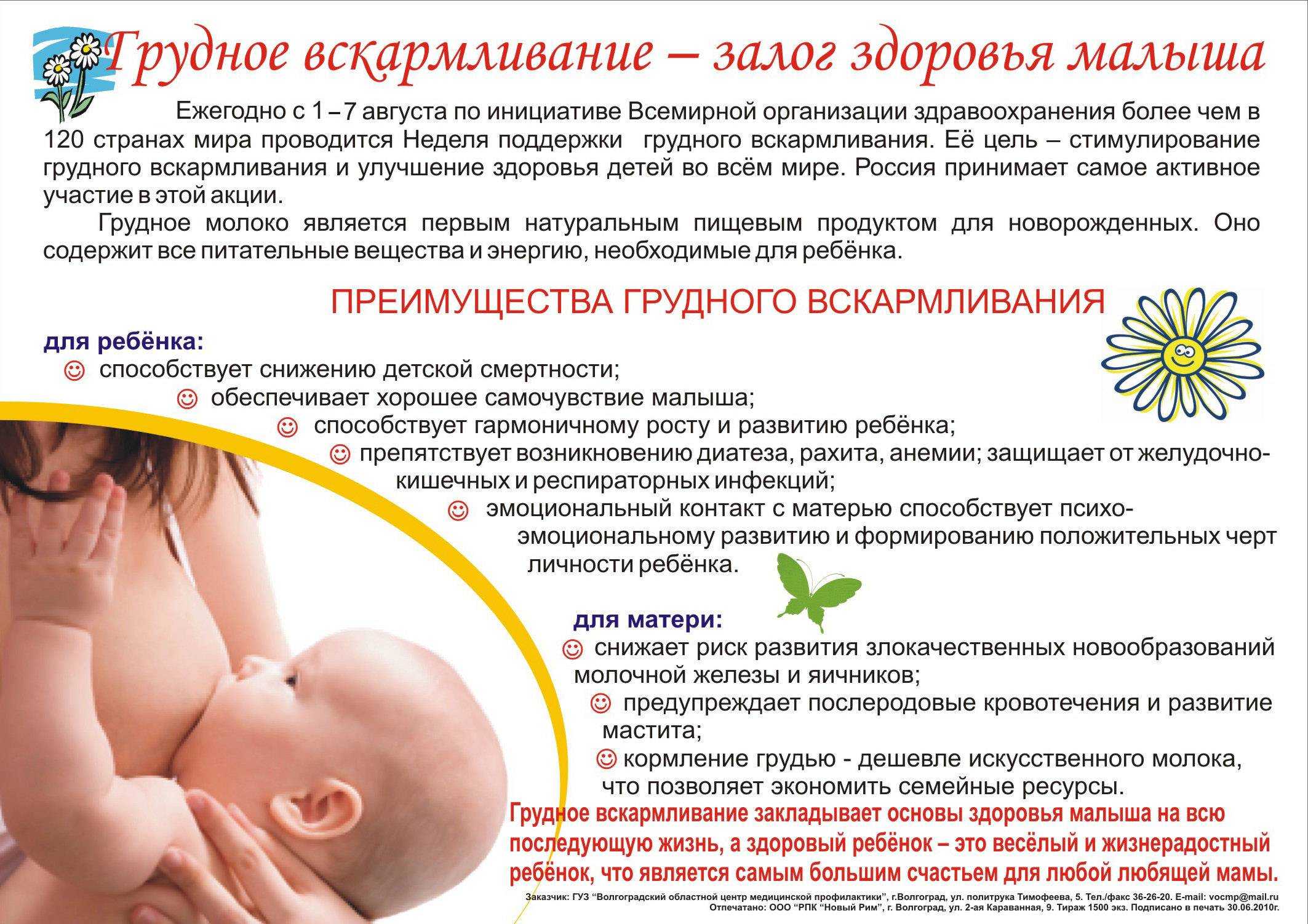 Польза и вред корицы при грудном вскармливании
