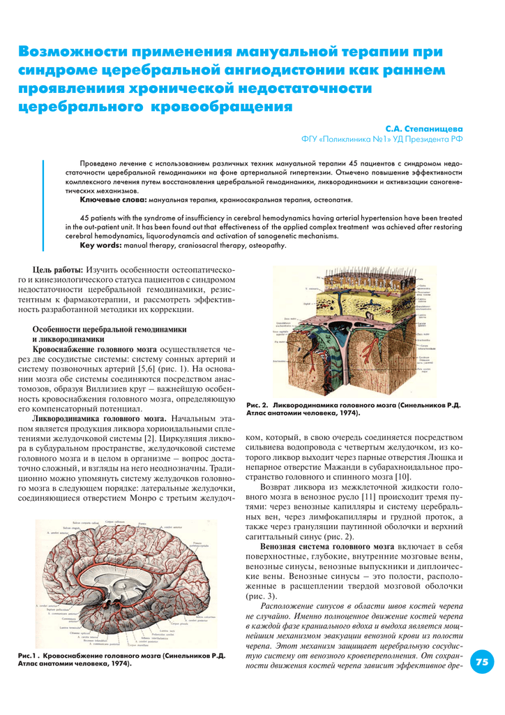 Церебральная ангиодистония сосудов головного мозга: что это такое, причины и симптомы, диагностика, лечение и профилактика