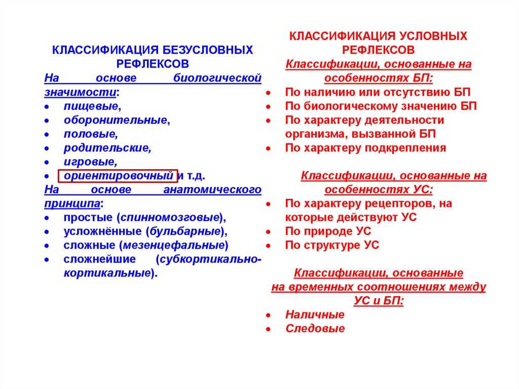 Нервная система и высшая нервная деятельность | человек и его здоровье | теория | решутест. продвинутый тренажёр тестов