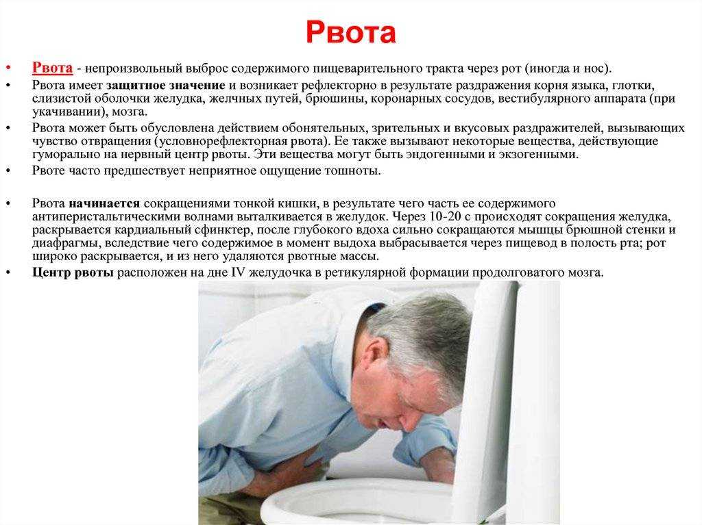 Новинет