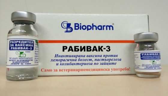 Кокав: вакцина против бешенства, ее побочные действия