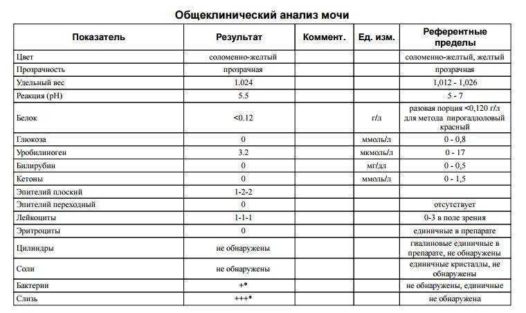 Анализ мочи при беременности: что показывает и какая важная информация для будущих мам