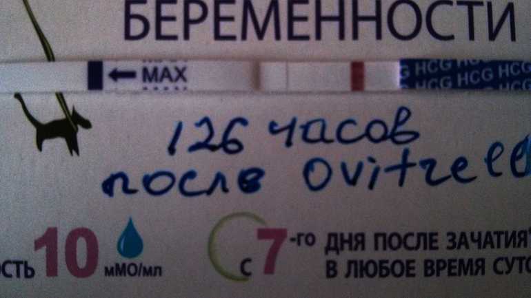 Секс во время беременности: можно ли заниматься сексом, спец позы