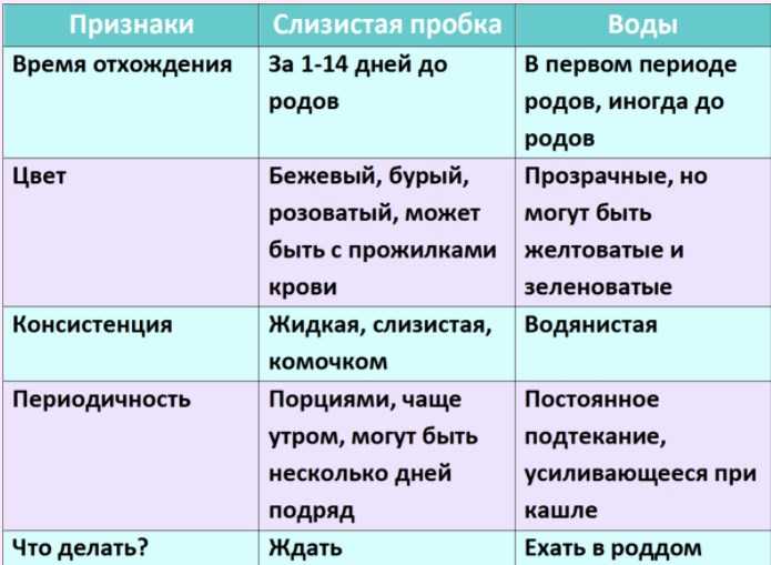 ᐉ что делать когда отошла пробка при беременности. как отходит пробка перед родами и причины ее отхождения. что делать после отхождения слизистой пробки - ➡ sp-kupavna.ru
