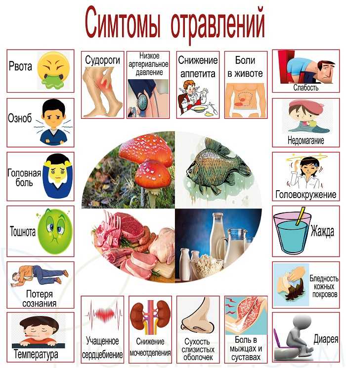 Как быстро появляются симптомы отравления едой?