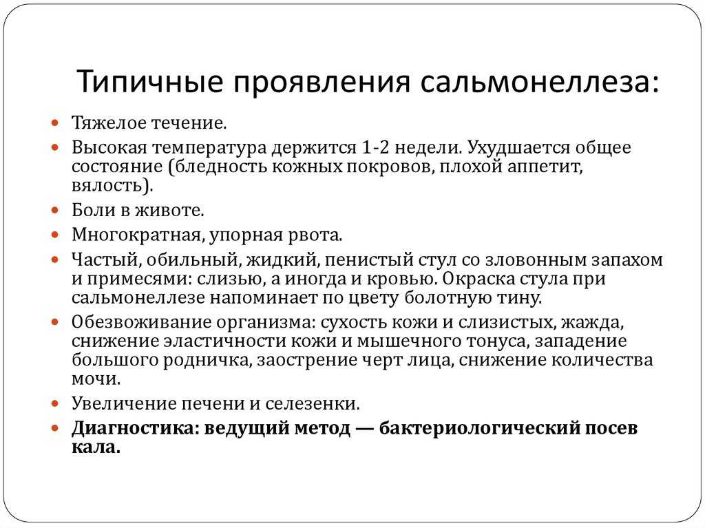 Сальмонеллез у взрослых: симптомы и лечение, цикл жизнедеятельности