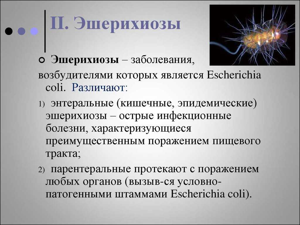 Чем опасна кишечная палочка? - клиника в уручье