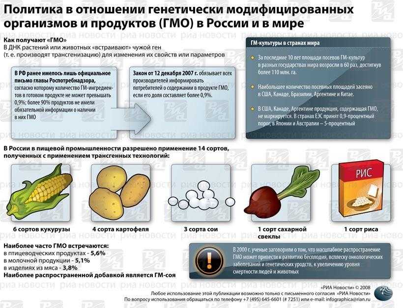 Что такое гмо: расшифровка аббревиатуры, вред и польза