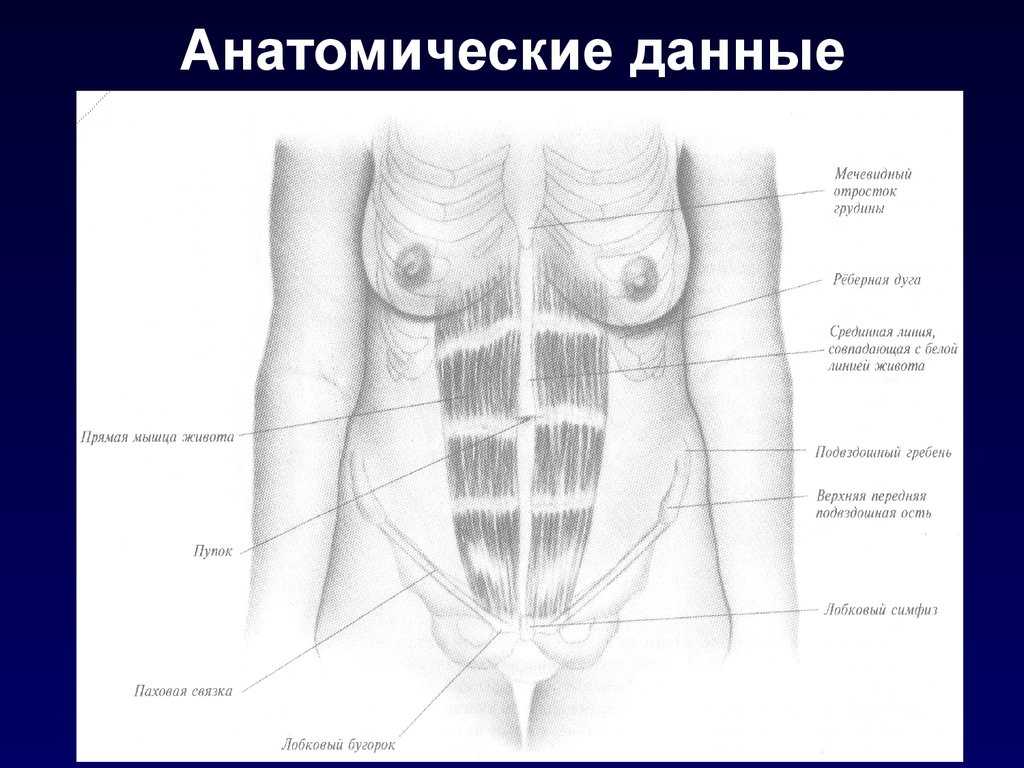 Воспаление мечевидного отростка. виды, причины возникновения, симптомы и методы лечения