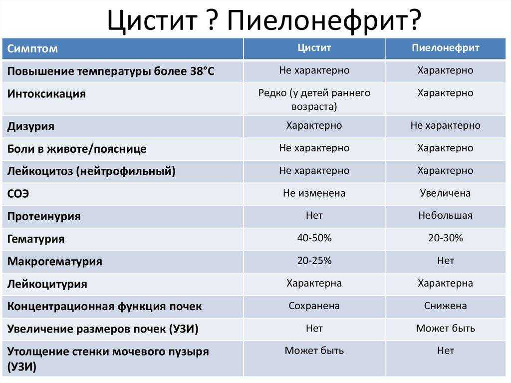 Пиелонефрит – симптомы, причины, виды и лечение пиелонефрита - медицина на "добро есть!"