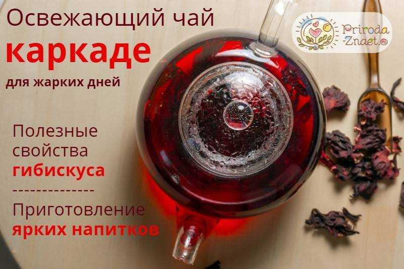 Чай каркаде - полезные свойства и противопоказания, способы заваривания