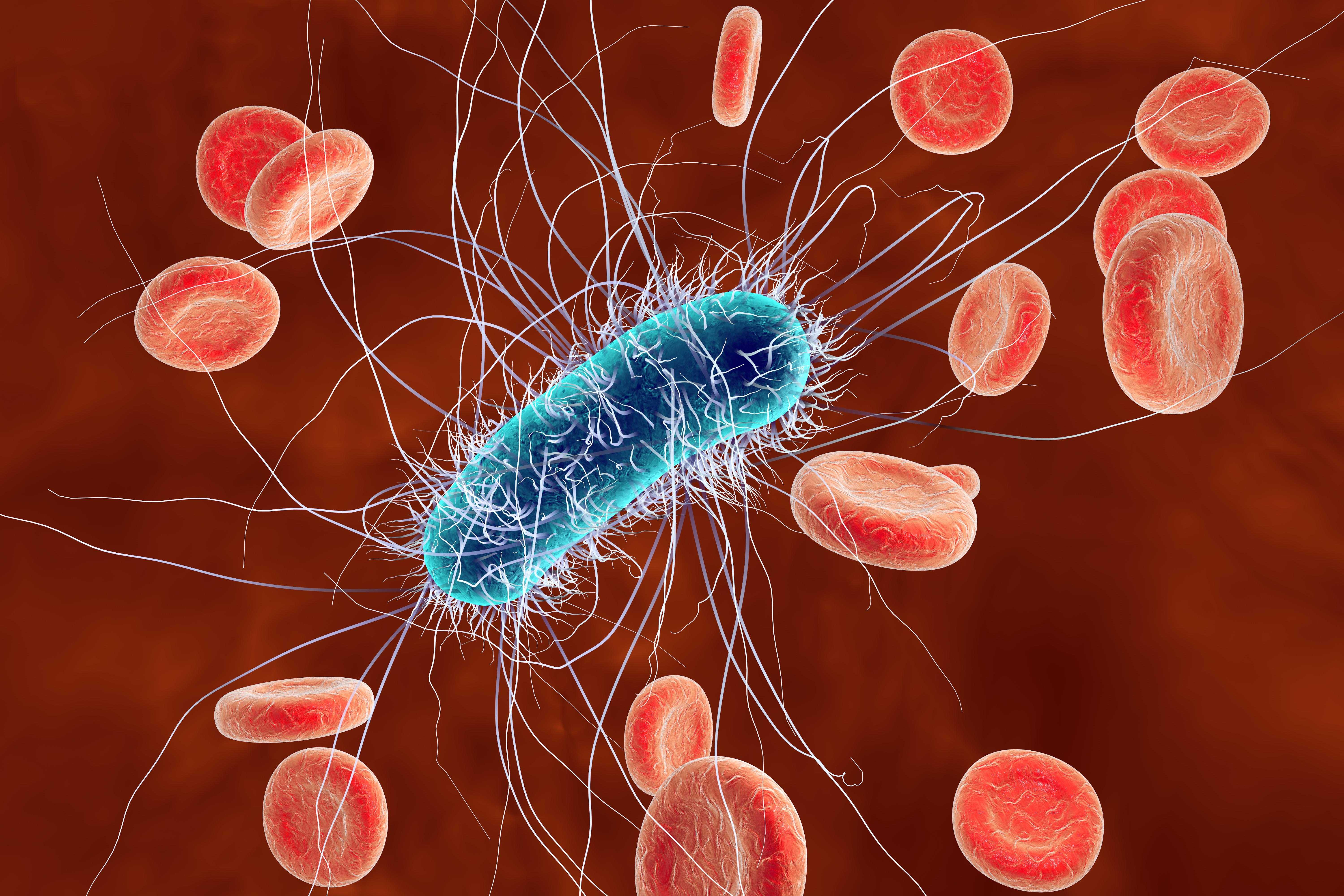 Бактерия escherichia coli в моче: откуда берется и почему сложно вылечить?