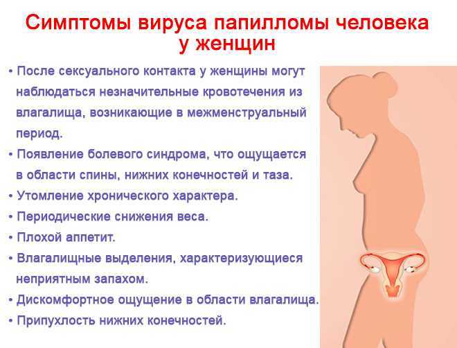 Вирус папилломы человека (впч)