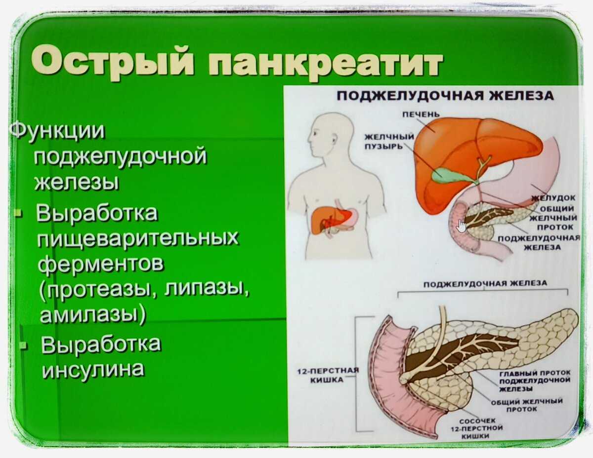Можно ли жить без поджелудочной железы человеку: последствия панкреатэктомии, диета