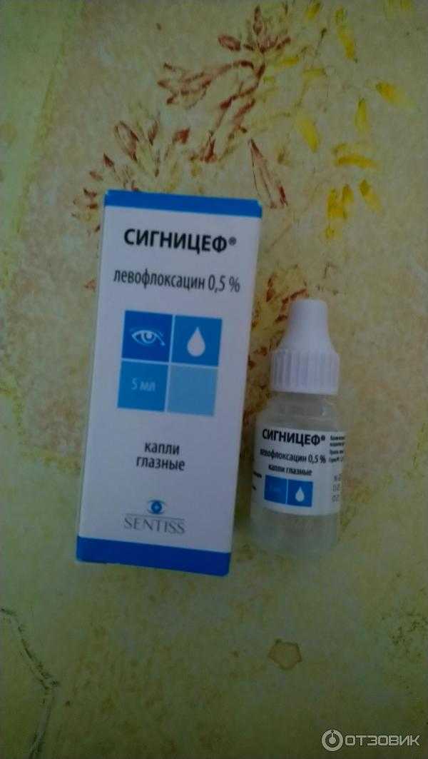 Сигницеф: инструкция по применению и свойства капель. показания и противопоказания в применении. побочные явления капель сигницеф