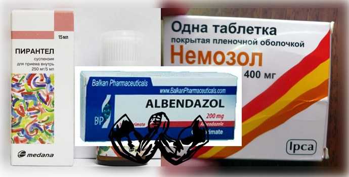 Схема лечения аскаридоза немозолом и вермоксом