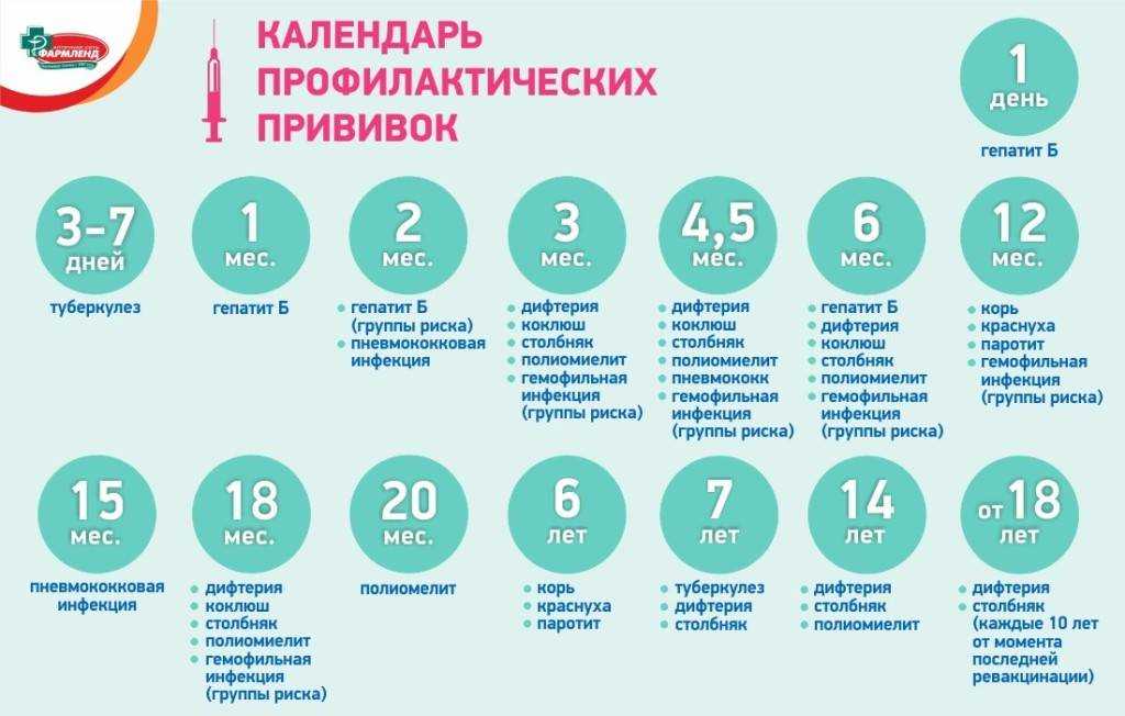 Вакцинация детей до года календарь прививок противопоказания