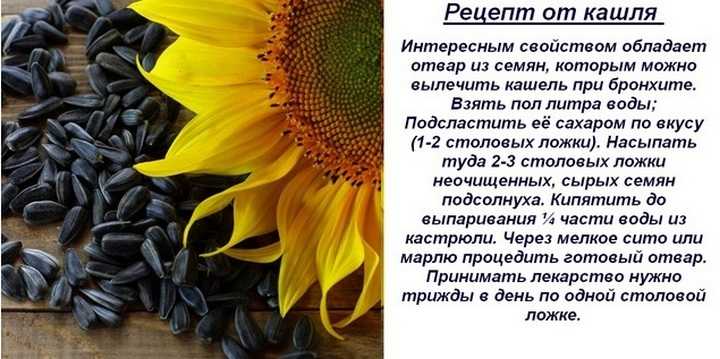 Что можно беременным от изжоги, какие средства пить в третьем триместре беременности?