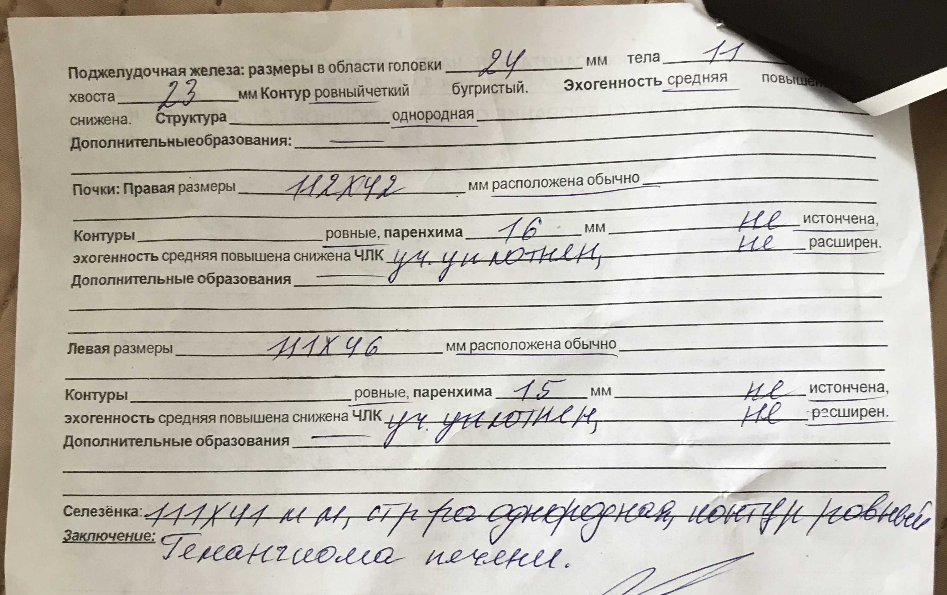Повышенная эхогенность поджелудочной железы, что это значит