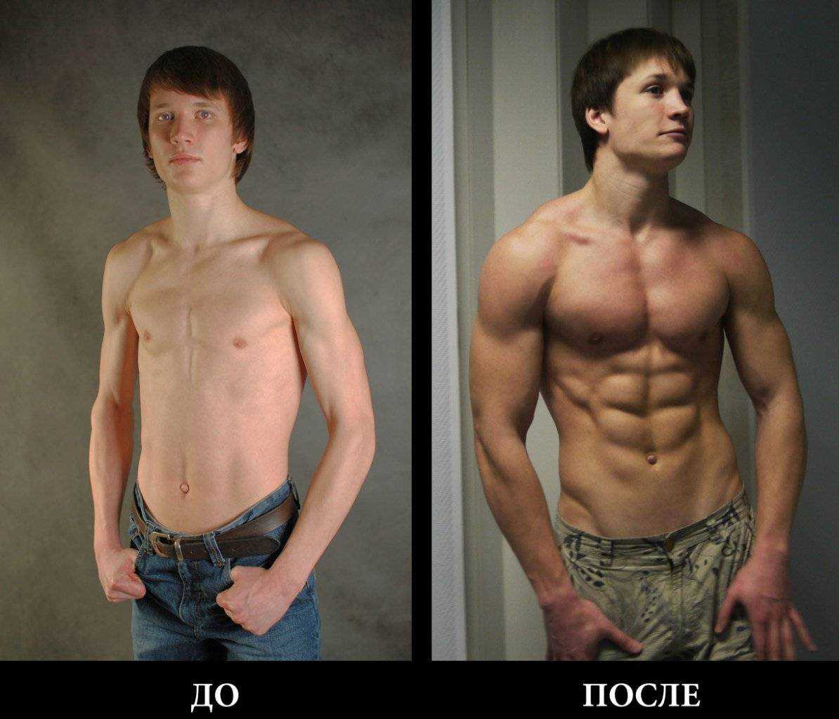 За сколько можно накачаться и за счет чего растут мышцы?