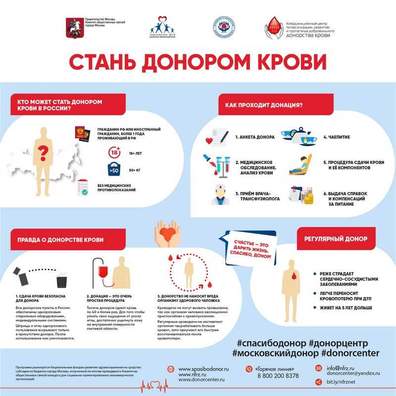 Донорство крови: где сдать кровь за деньги, пункты, запись