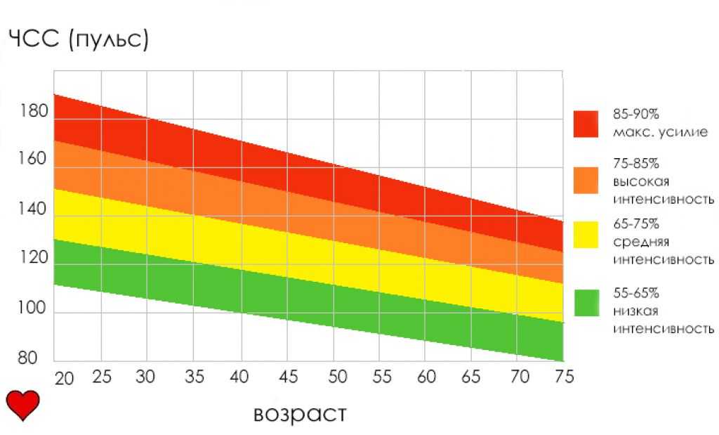 Оптимальный пульс для сжигания жира — калькулятор расчета
