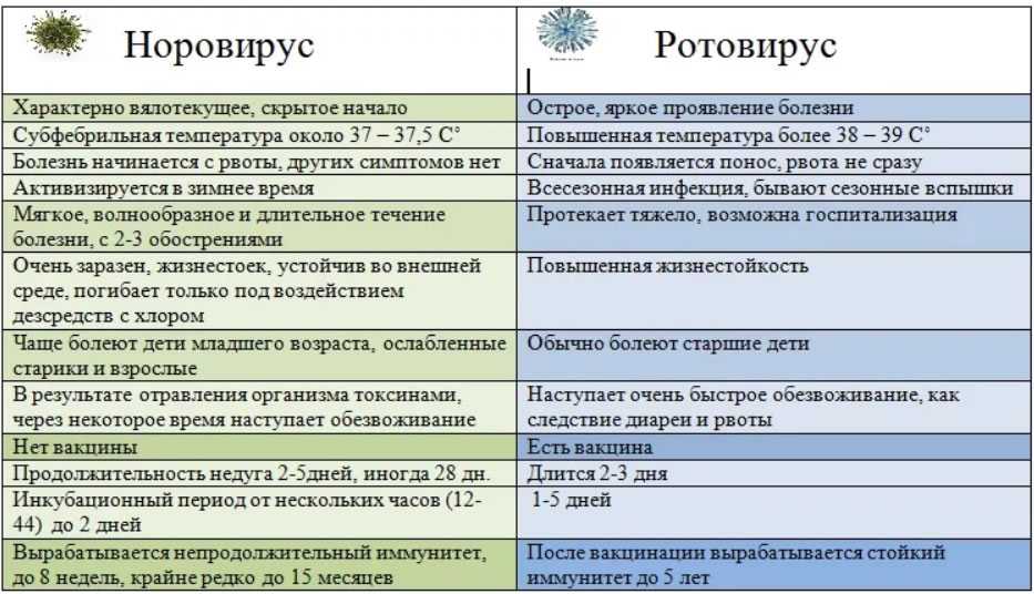 Отличие ротавирусной инфекции от кишечной инфекции.
