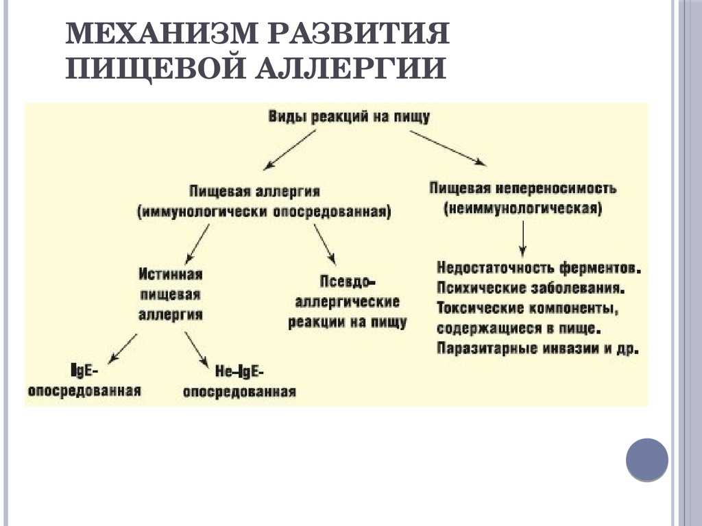 Гипоаллергенная диета: продукты, принципы питания