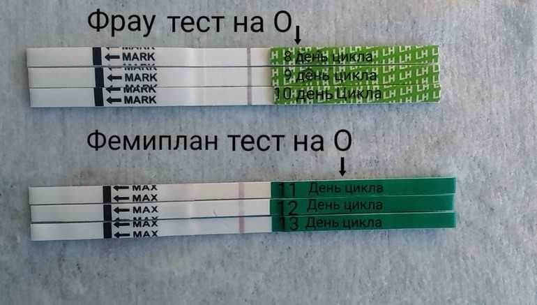 Что делать, если нет овуляции при регулярных месячных