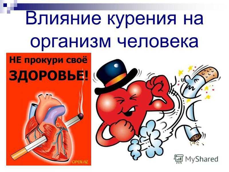 Можно ли курить кальян беременной в затяжку или нет, ароматизированный или без никотина на ранних и поздних сроках: все за и против, последствия для ребенка
