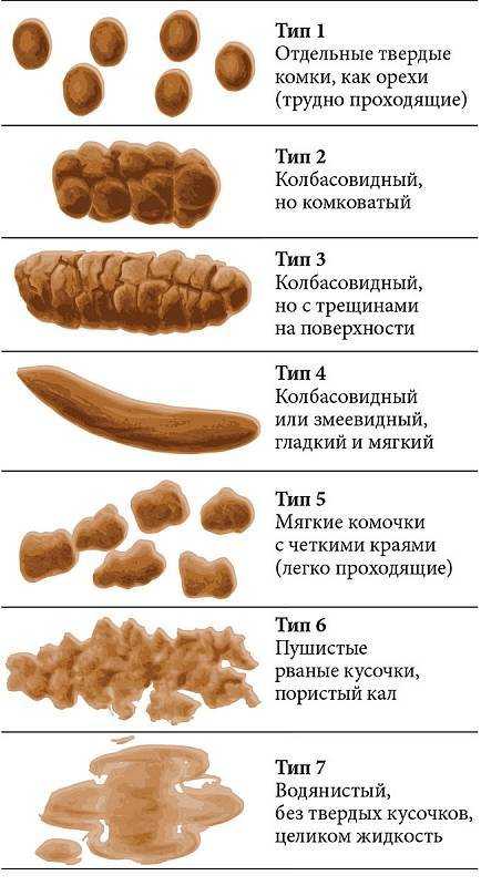 После пьянки черный стул. светлый кал у взрослого после алкоголя
