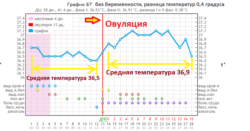 Температура тела человека