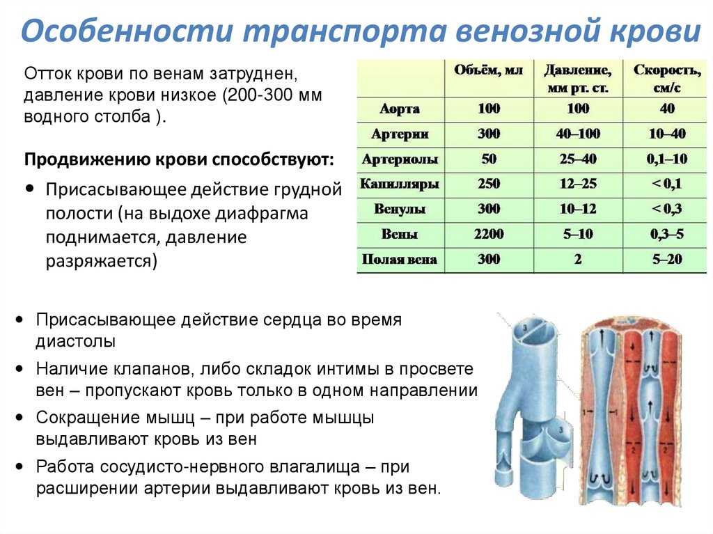 Аутогемотерапия в гинекологии (при бесплодии, аднексите, спайках, воспалении придатков)