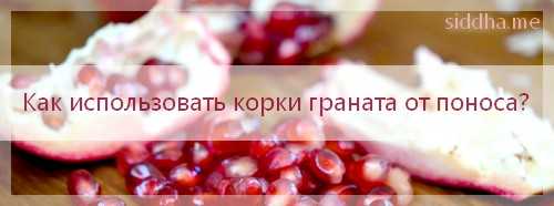 Особенности применения граната при диарее  Г Р А Н А Т  П Р И  П О Н О С Е –  И С П О Л Ь З У Е М  Д А Р Ы  П Р И Р О Д Ы  П Р А В И Л Ь Н О  Плоды граната – богатый источник витаминов, минеральных