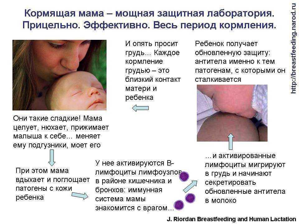 Таблетки при пониженном давлении для кормящих мам