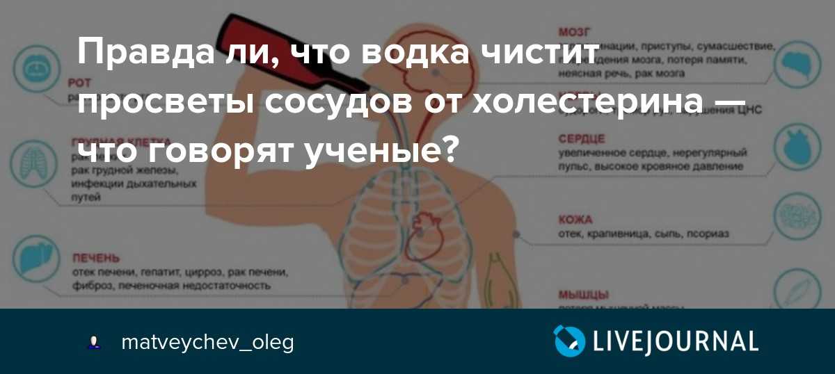 Алкоголь повышает или понижает холестерин, как снизить уровень холестерина в крови