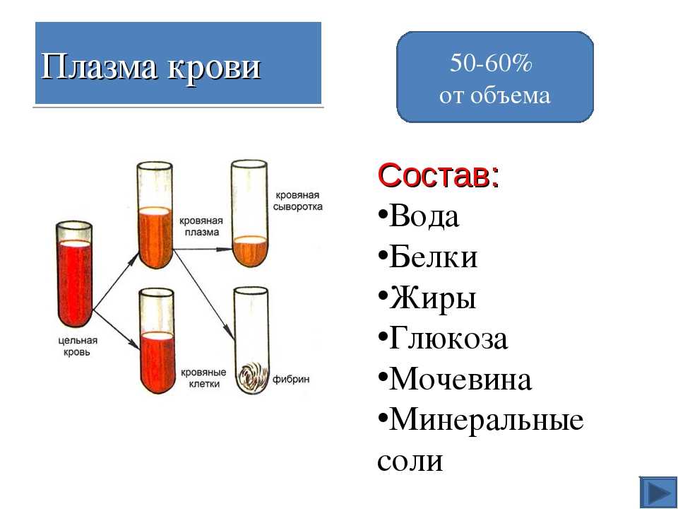 Анализ крови и сыворотки крови разница, характеристика