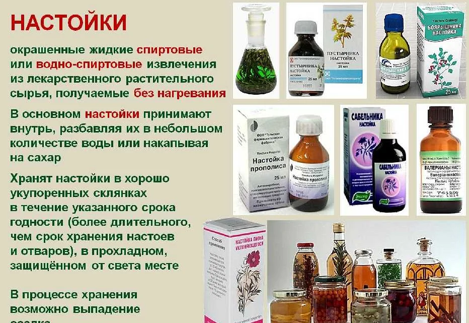 Как из адамова яблока (маклюры) приготовить лечебную спиртовую настойку