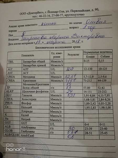 Алгоритм определения синдрома пастернацкого и его расшифровка