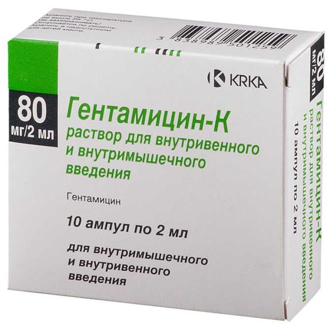 Пенициллин гентамицин совместимость - все инструкции в одном месте