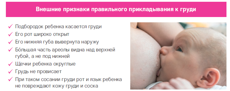 Салаты для кормящих мам при грудном вскармливании в первый месяц, рецепты