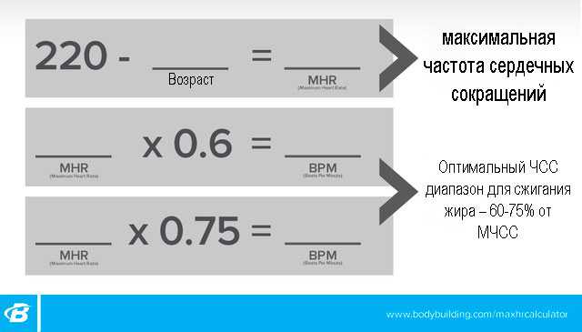 Пульс жиросжигания для кардио тренировки|