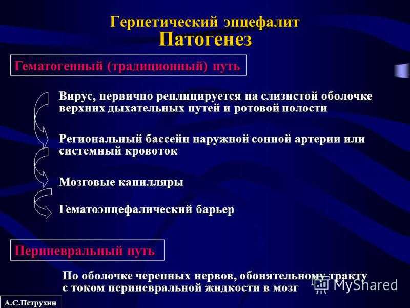 Герпетический энцефалит: причины и лечение. что такое герпесный энцефалит и как его лечить — полная клиническая картина герпеса головного мозга как вирус герпеса влияет на мозг