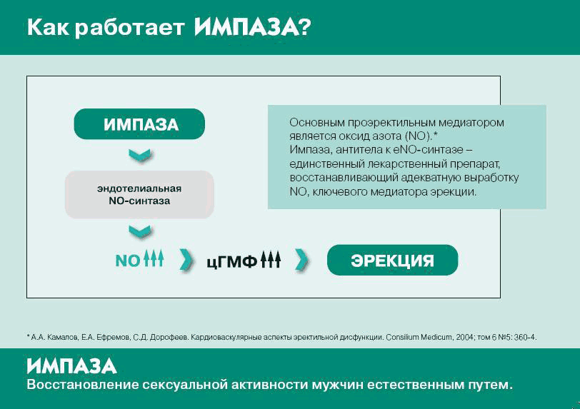 Лекарство импаза инструкция