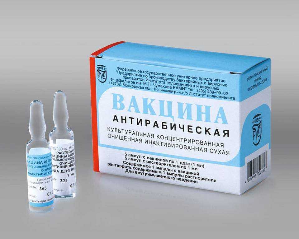 Реакция на прививку от бешенства у собак | звери дома