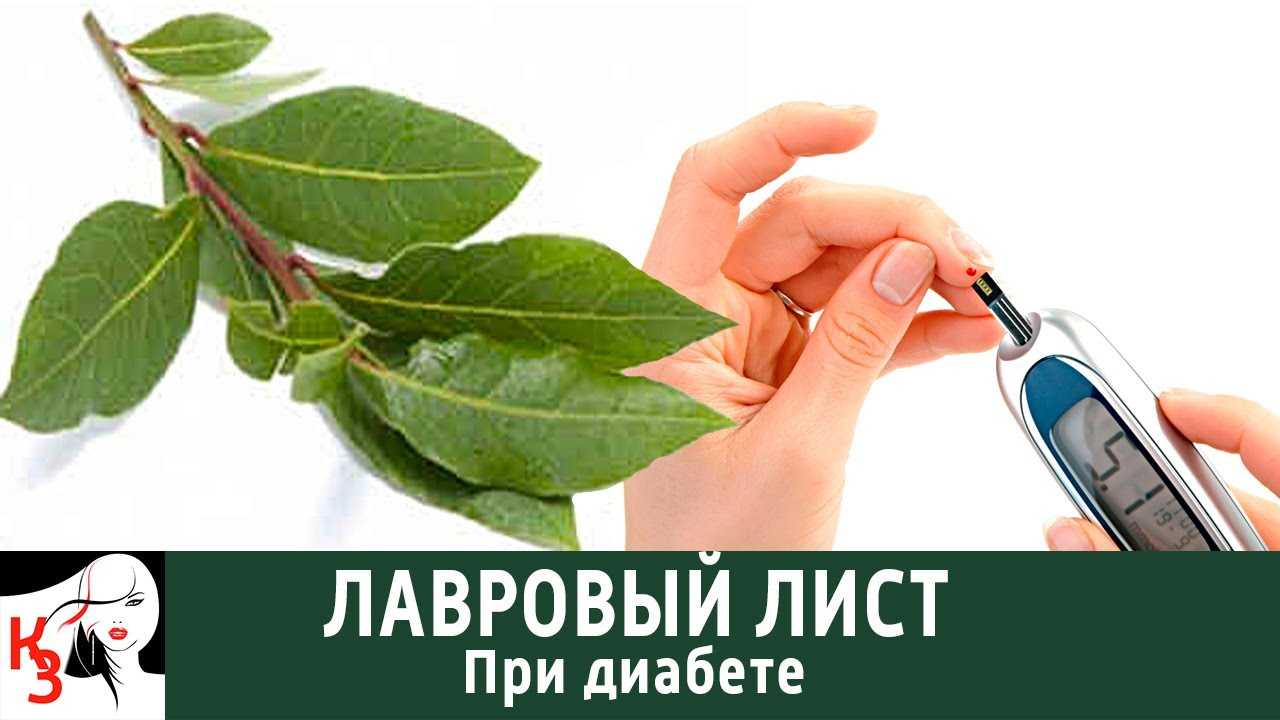 Лавровый лист при диабете: рецепты и противопоказания