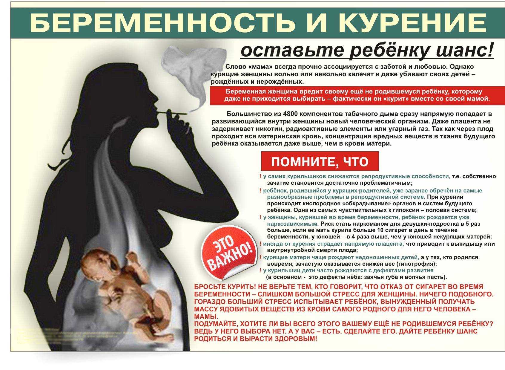 Можно ли беременным грибы вешенки, лисички или шампиньоны: почему нельзя кушать маринованные лисички или грибной белый суп, стоит ли лакомиться жареными грибами